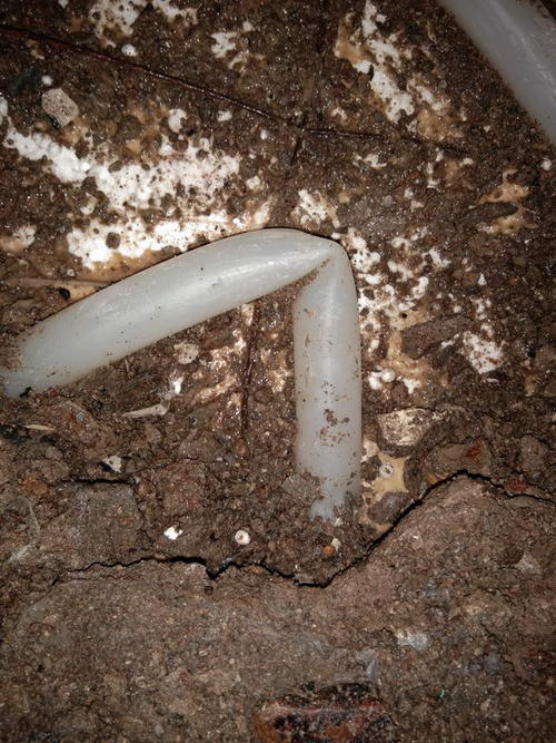 且末堵点精准查找